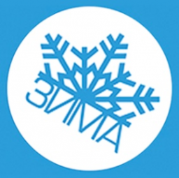 Логотип компании Бухгалтерская фирма Зима