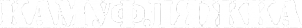 Логотип компании Камуфляжка